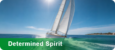 Determined Spirit