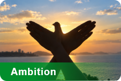 Ambition